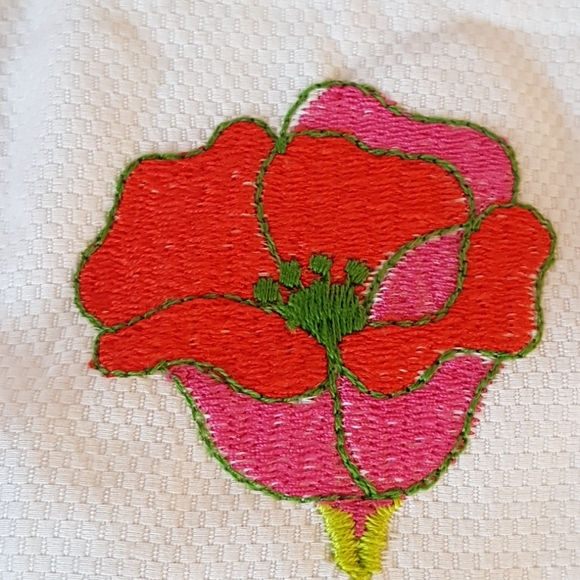 Designer Kathlin Argiro Embroidered Dress - Picture 14 of 17